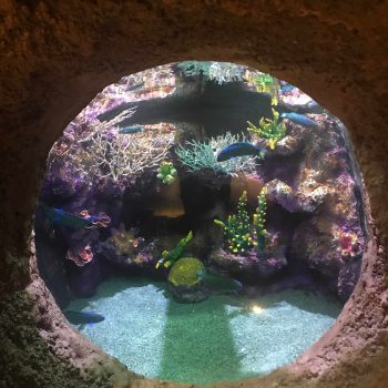 3965 350x350 - Iran largest Aquarium In Anzali