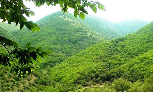 Hyrcanian Forests 500x300 - Iranian Caspian Sea Tour