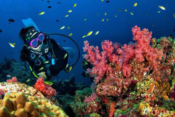 Qeshm Island Iran 600x400 - Iran Diving tours