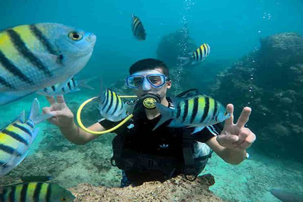 kish 600x400 - Iran Diving tours