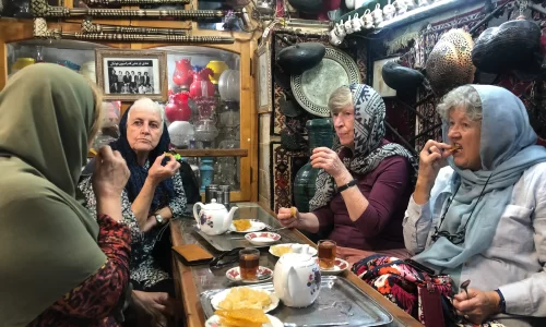 IMG 2869 500x300 - A Complete Guide on Iran Tours for Seniors